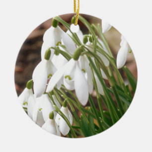 Stunning Snowdrops Ceramic Tree Decoration