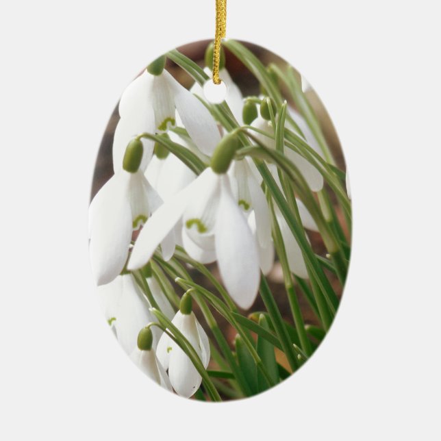 Stunning Snowdrops Ceramic Tree Decoration (Front)
