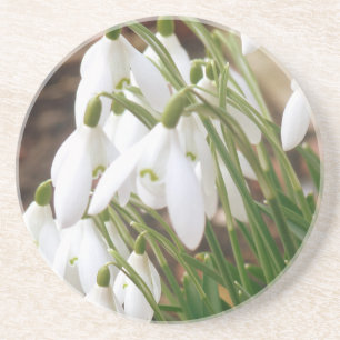 Stunning Snowdrops Coaster