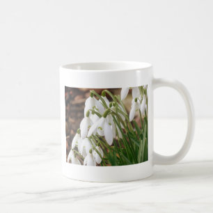 Stunning Snowdrops Coffee Mug