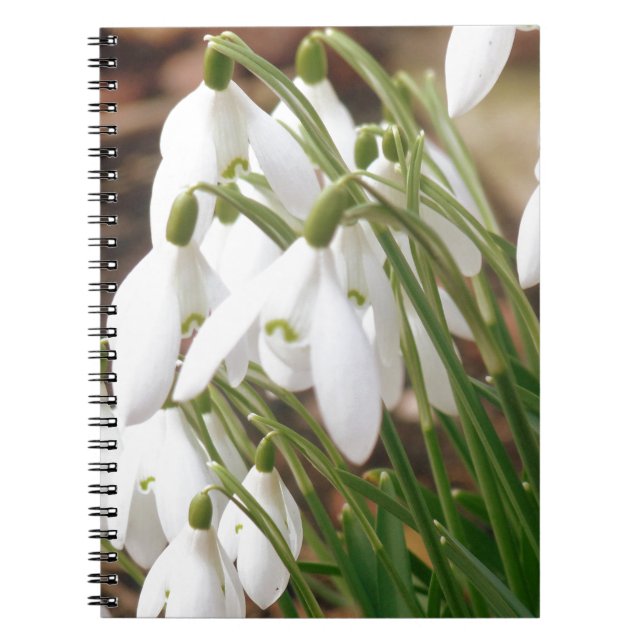 Stunning Snowdrops Notebook (Front)