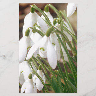 Stunning Snowdrops Stationery