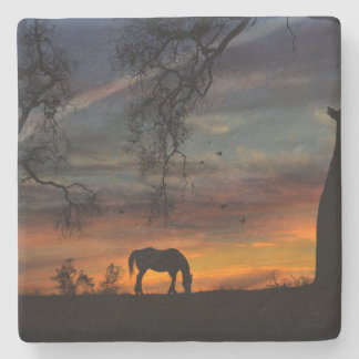 Stunning Southwestern Horse Coasters