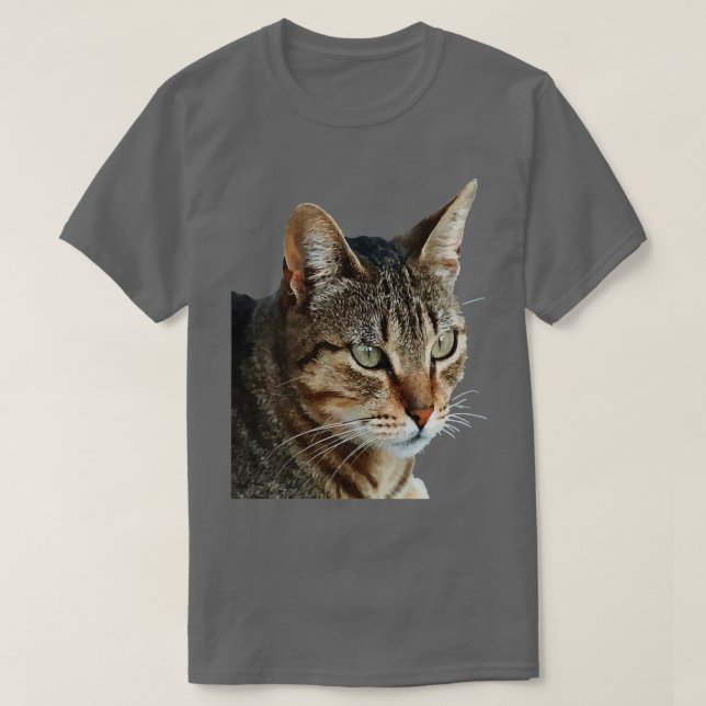 Stunning Tabby Cat Close Up Portrait Vector  T-Shirt (Design Front)