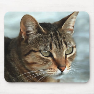 Stunning Tabby Cat CloseUp Artistic Portrait Mouse Pad