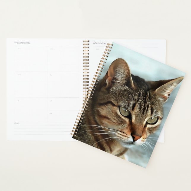 Stunning Tabby Cat CloseUp Artistic Portrait Planner (Display)