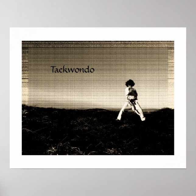 Stunning taekwondo poster (Front)
