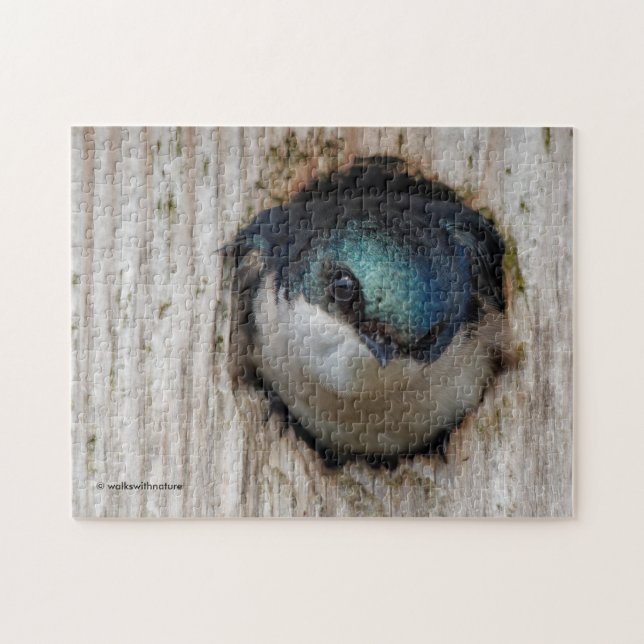 Stunning Tree Swallow in a Nestbox Jigsaw Puzzle (Horizontal)