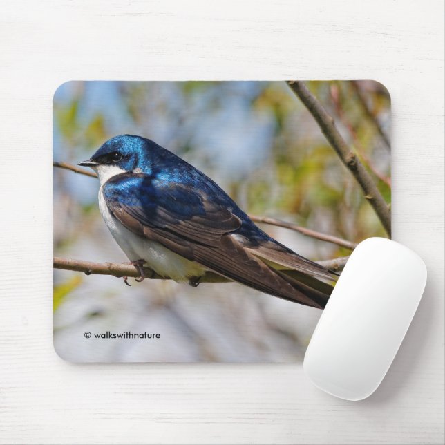 Stunning Tree Swallow Songbird on a Branch Mouse Pad (With Mouse)