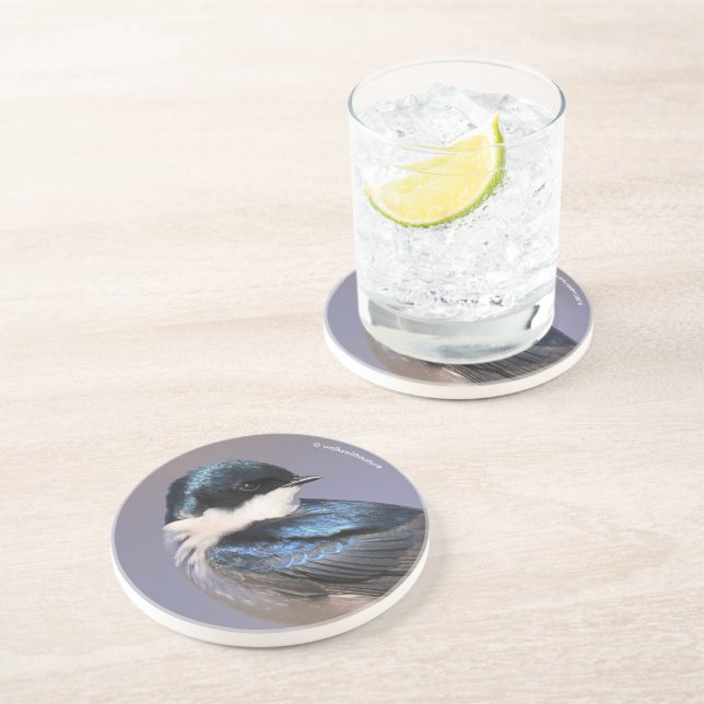 Stunning Tree Swallow Songbird on the Wire Coaster (Side)