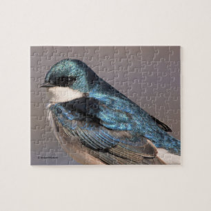 Stunning Tree Swallow Songbird on the Wire Jigsaw  Jigsaw Puzzle