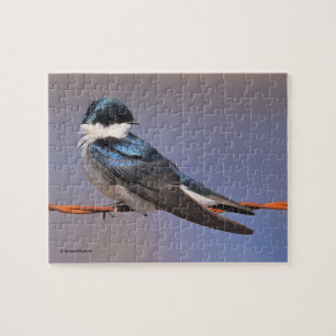 Stunning Tree Swallow Songbird on the Wire Jigsaw Puzzle