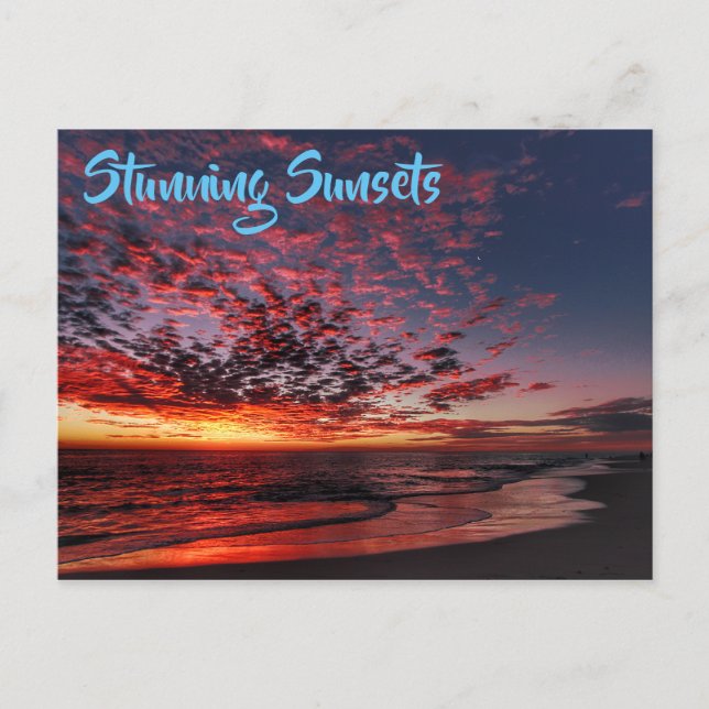 Stunning Tropical Beach Sunset Postcard (Front)