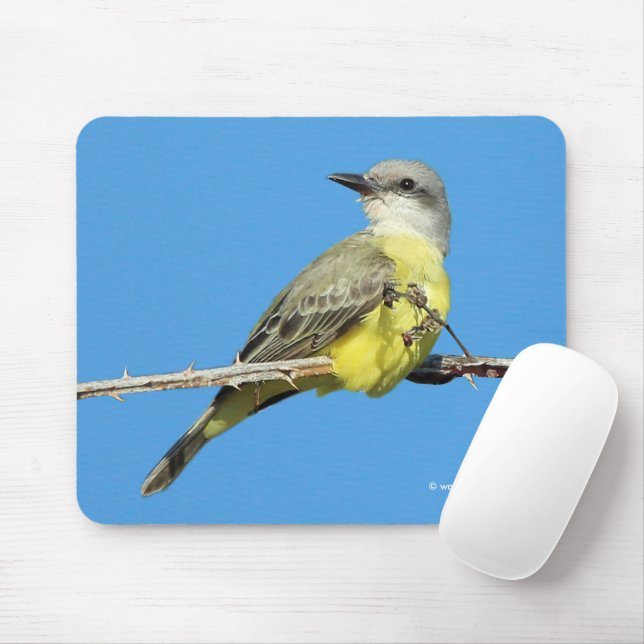 Stunning Tropical Kingbird on Blackberry Branch Mouse Pad (With Mouse)