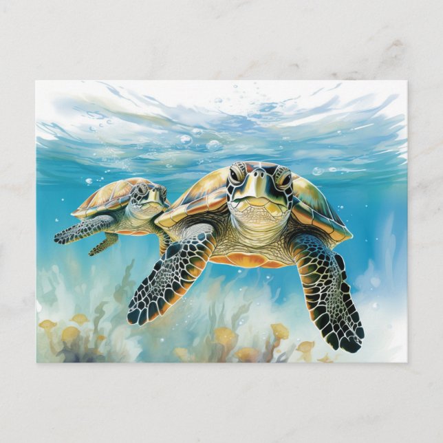 Stunning Turtle Postcard (Front)