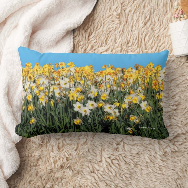 Stunning Two-Tone Medley of Daffodil Flowers Lumbar Cushion (Blanket)