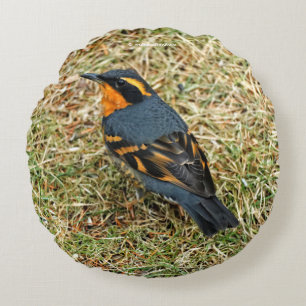 Stunning Varied Thrush on the Lawn Round Cushion