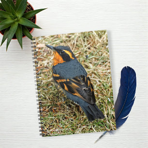 Stunning Varied Thrush on the Lawn Spiral Notebook