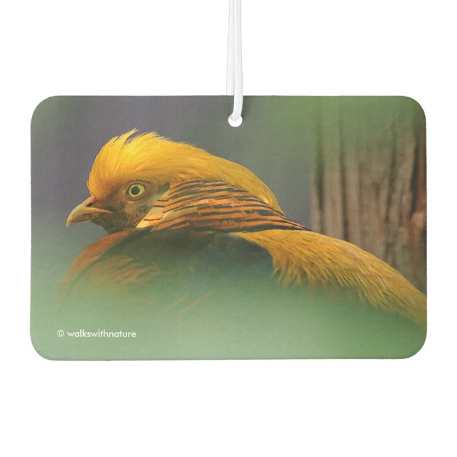 Stunning Vignetted Profile of a Golden Pheasant Car Air Freshener (Front)