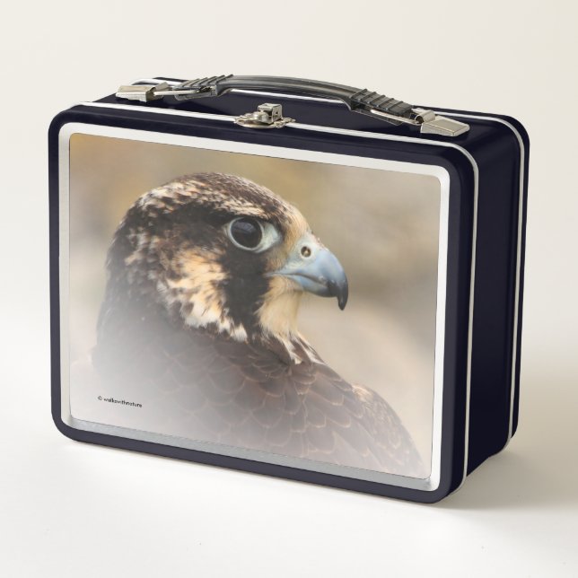 Stunning Vignetted Profile of a Peregrine Falcon Metal Lunch Box (Front)