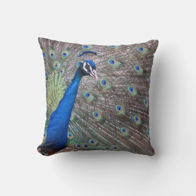 Stunning Vintage Peacock Cushion (Front)