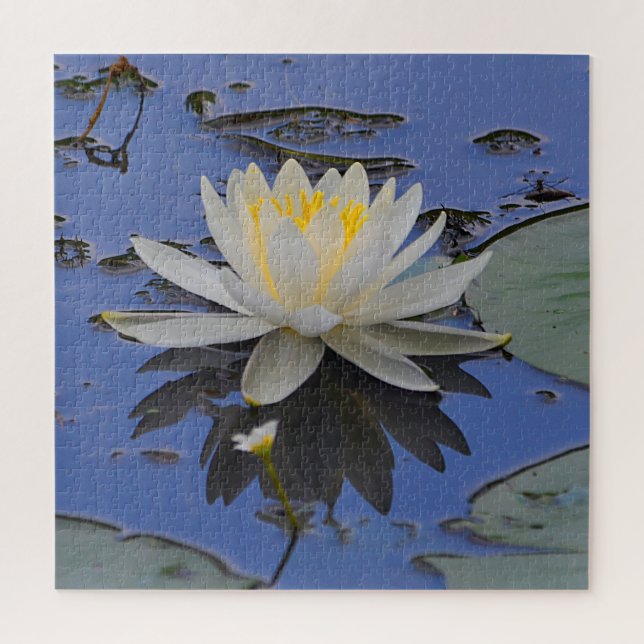 Stunning Water Lily Jigsaw Puzzle (Vertical)