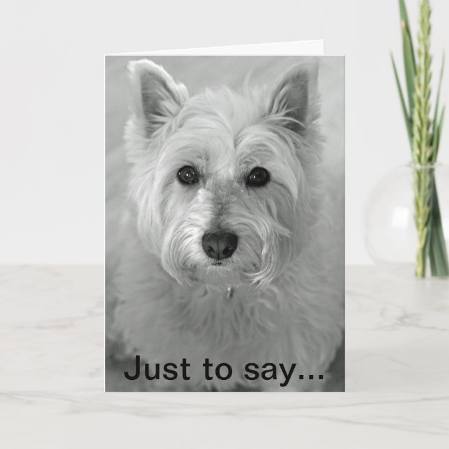 Stunning Westie Dog - Sorry Card (Front)