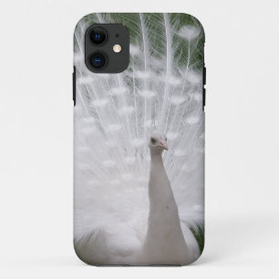 Stunning white Peacock ( Peafowl) full plume Case-Mate iPhone Case