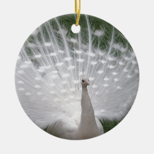 Stunning white Peacock ( Peafowl) full plume Ceramic Tree Decoration (Front)