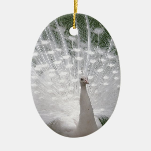 Stunning white Peacock ( Peafowl) full plume Ceramic Tree Decoration (Front)