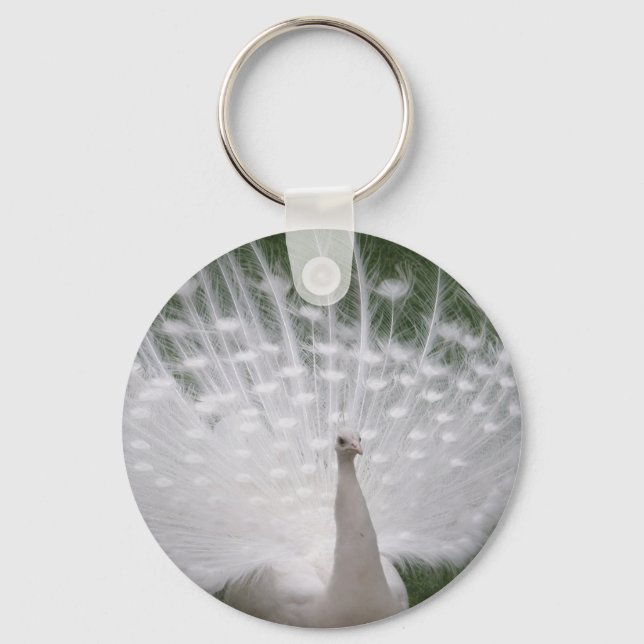 Stunning white Peacock ( Peafowl) full plume Key Ring (Front)