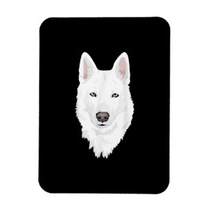 Stunning White Siberian Husky - Sweet White Snow Magnet