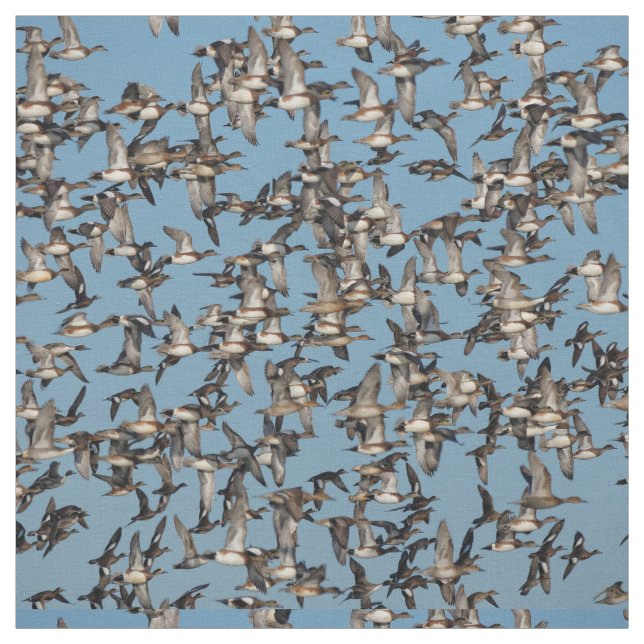 Stunning Winter Ducks in Flight Fabric (Swatch)