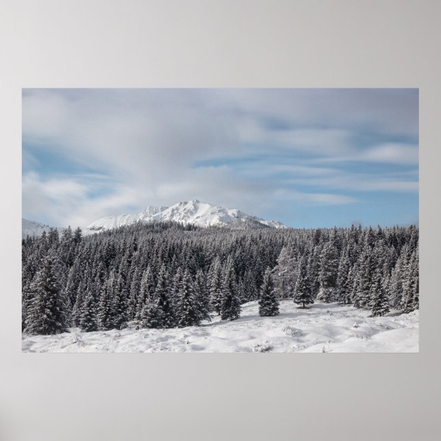 Stunning winter scenery poster (Front)