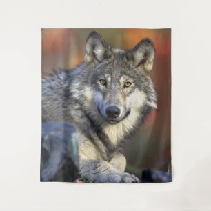 Stunning wolf portrait tapestry