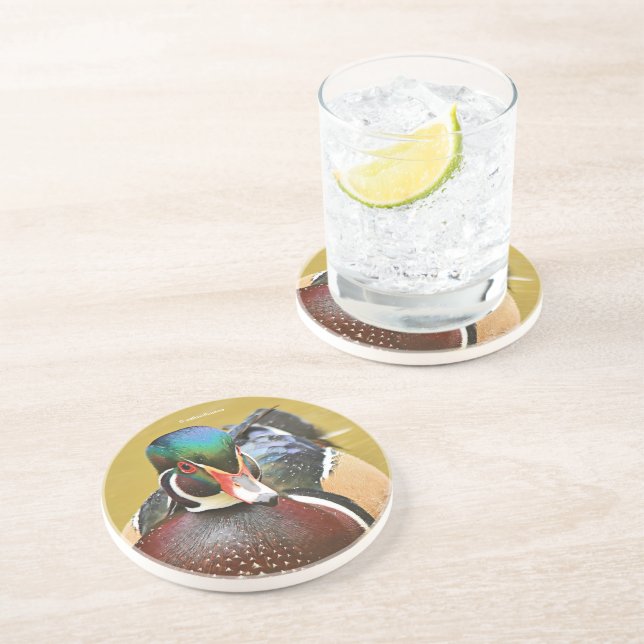 Stunning Wood Duck in the Pond Coaster (Side)