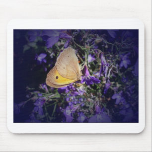 Stunning Yellow Butterfly on Lavender. Mouse Pad