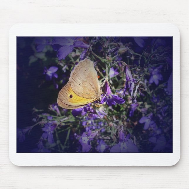 Stunning Yellow Butterfly on Lavender. Mouse Pad (Front)
