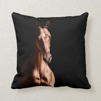 Stunning Young Stallion Cushion