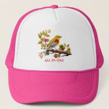 Stunningly Beautiful Hats for Every Occasion!"