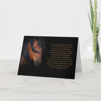 Stunningly Beautiful Spiritual Horse Sympathy 