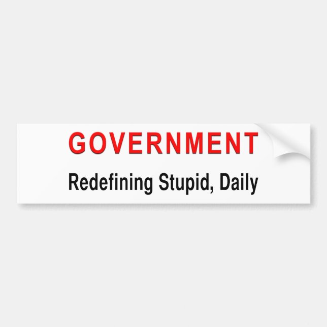 Stupid Government Bumper Sticker (Front)