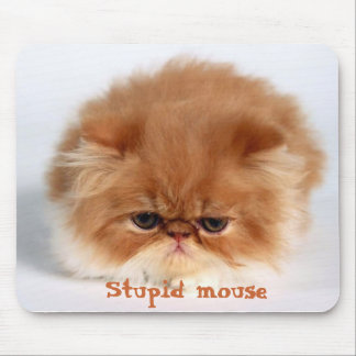 Stupid Mouse Pad