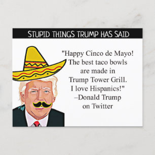 Stupid Things Trump has said Postcard Souvenir