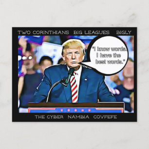 Stupid Things Trump has said Postcard Souvenir