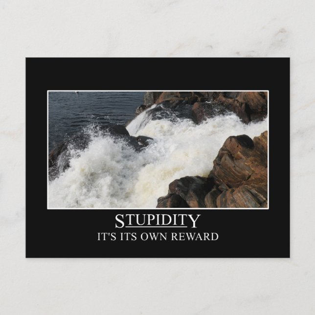 Stupidity is its own reward postcard (Front)