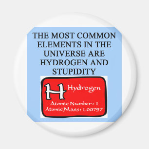 STUPIDITY MAGNET