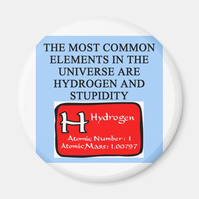 STUPIDITY MAGNET (Front)