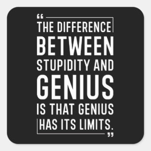 Stupidity Quote Square Sticker
