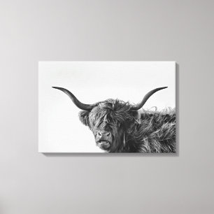 Sturdy highland cow in monochrome canvas print